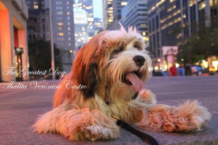 Portfolio Gallery 1