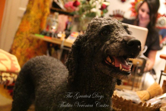 Portfolio Gallery 3