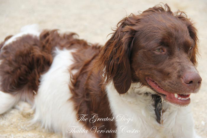 Portfolio Gallery 7