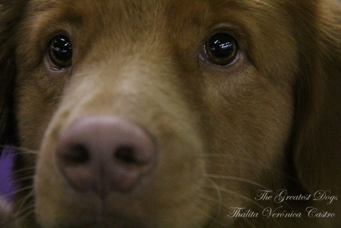 Portfolio Gallery 9