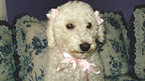 Home photo 4